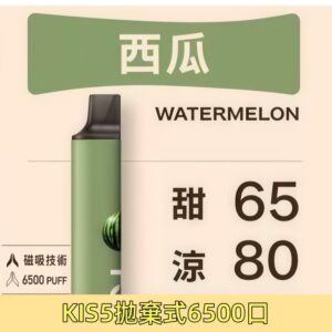 【西瓜】凱斯KISS一次性可充電拋棄式電子煙6500口#台灣現貨#